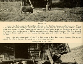 The-peoples-of-French-Indochina-28-14646246990.jpg