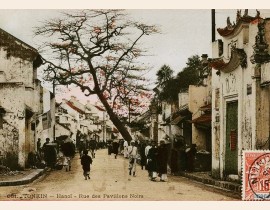 HANOI-Rue-des-Pavillons-Noirs-Pho-Co-Den-nay-la-pho-Ma-May-4992235132.jpg
