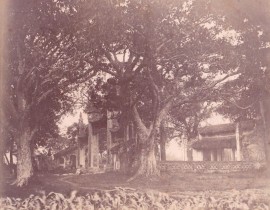 Hanoi-1890-Pagode-des-Dames-Chua-Lang-38173247754.jpg