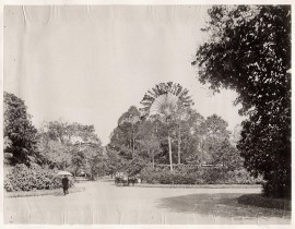 Saigon-1890-Botanical-Garden-Vuon-Bach-Thao-38001869605.jpg