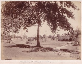 Saigon-1890-Botanical-Garden-Vuon-Bach-Thao-38001869655.jpg