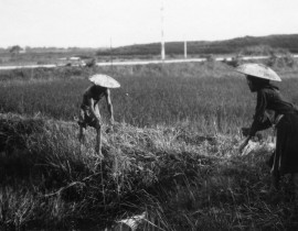 Hanoi-1939-19013016333.jpg