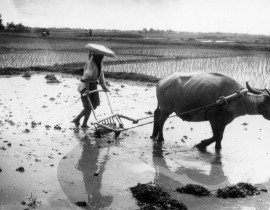 Hanoi-1939-19013016363.jpg