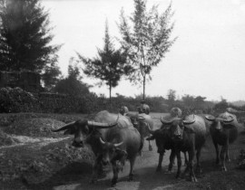 Hanoi-1939-19013016393.jpg