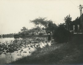 Indochine-Hanoi-Petit-Lac-1900-49098143862.jpg