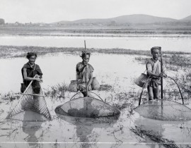 Pecheurs-annamites-1900-1910-49097451728.jpg