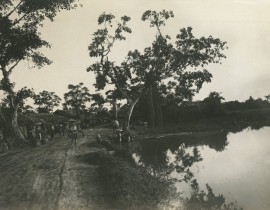 Indochine-Dans-les-environs-d-Hanoi-1900-49097438848.jpg