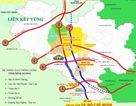 myphuoc7-6971895670.jpg