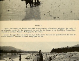 The-peoples-of-French-Indochina-9-14811302596.jpg